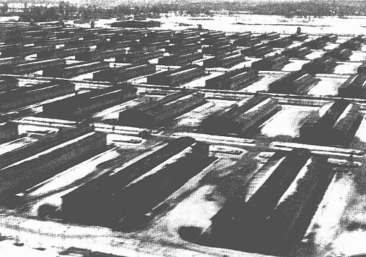 The Auschwitz
