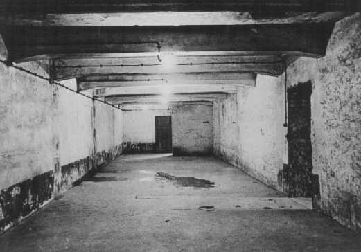 gas chambers at auschwitz. Photograph. Gas