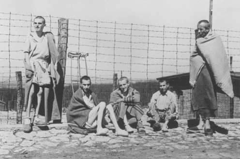 holocaust concentration camps. The Aftermath of the Holocaust