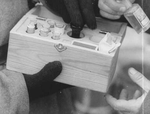 Soviet soldiers inspect a box containing poison used in medical experiments. Auschwitz, Poland, after January 27, 1945.