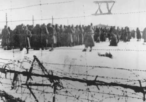 soviet pow camp photograph pows bergen 1941 fallingbostel nazi cruelty belsen starvation 1942 shootings disease treatment january june