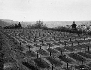 Cementerio de Hadamar donde las víctimas del exterminio por eutanasia de Hadamar fueron enterradas. Esta fotografía fue tomada hacia el final de la guerra. Hadamar, Alemania, abril de 1945.