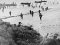 Le Débarquement en Normandie et l'avance des alliés en Europe occidentale