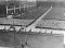 Las Olimpíadas nazis, Berlín 1936: Inauguración del relevo de la antorcha olímpica