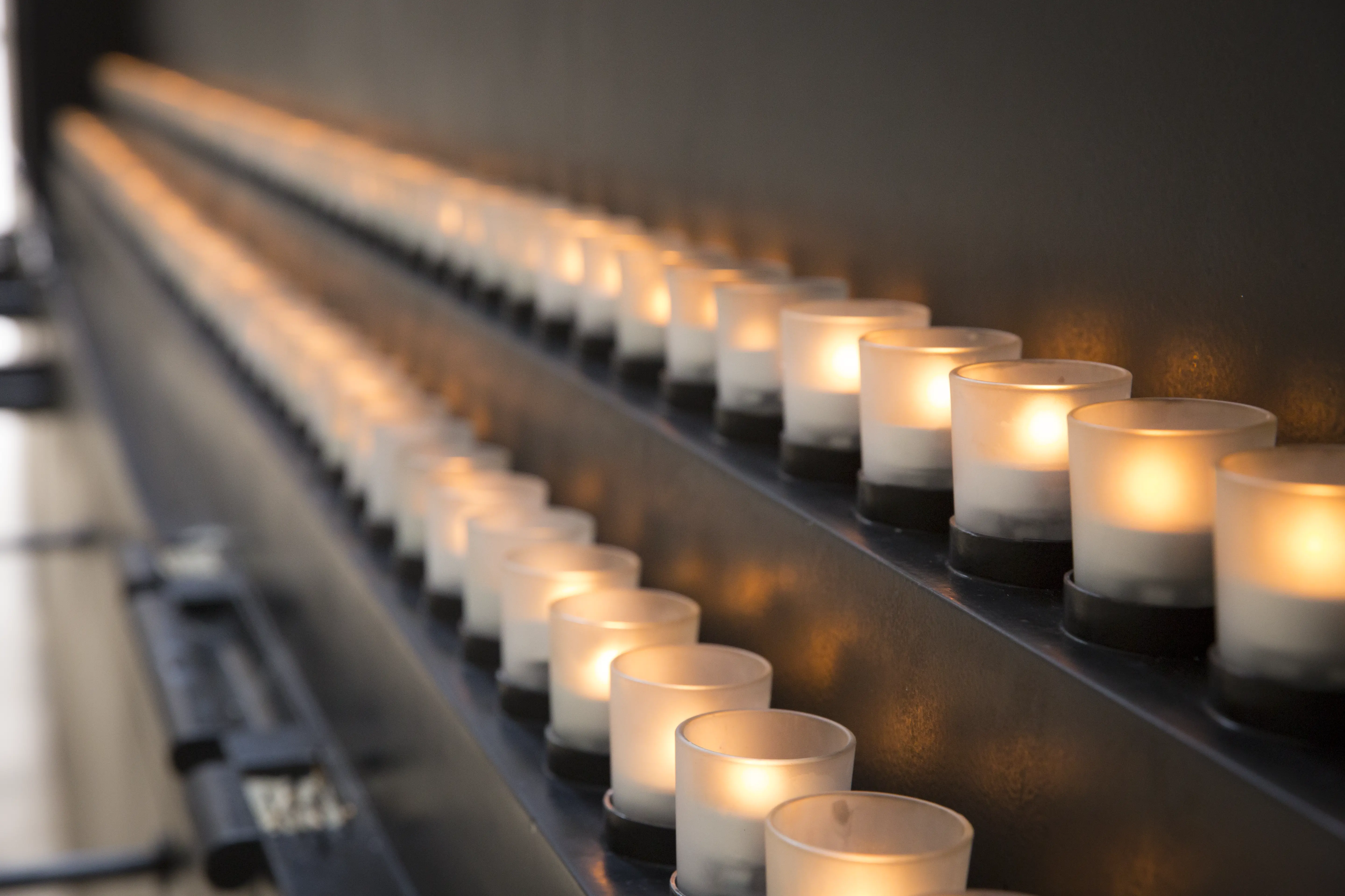 Commemoration: International Holocaust Remembrance Day - Saul