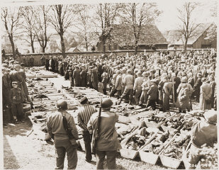 US troops and German civilians from Neunburg vorm Wald...
