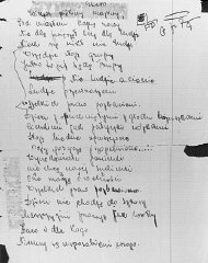 ユージニア・ホーホベルクがポーランドのブロディで隠れていたときに書いた日記の1ページ。