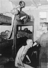 Baraques dans le camp de Mauthausen.