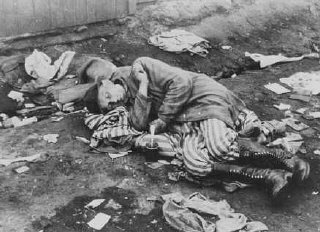 Sobrevivente do campo de Bergen-Belsen