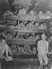 ブーヘンヴァルト強制収容所の超過密状態を示す、解放された囚人たち。ドイツ、1945年4月23日。
