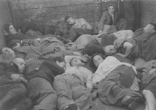 ブリハー（戦後の東欧からのユダヤ人の大移動）の一環として、混雑した貨物車で米国占領地域の難民キャンプに...