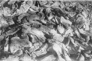 Chaussures de victimes du camp de Janowska découvertes...