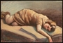 Autobiographical painting by David Friedman of a woman in a brown dress resting on a bed