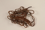 Four leather shoelaces brought to the US by a German Jewish refugee