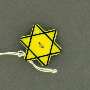 Plastic Star of David button worn to identify a Bulgarian Jew