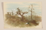 Muted watercolor of two trees in a green, overgrown field by a Jewish soldier, 2nd Polish corps