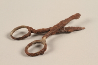1989.308.19 a-b 3/4 view
Small scissors in two pieces, recovered from Chelmno killing center

Click to enlarge