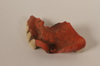 1989.308.7 front
Partial upper plate of a denture with five teeth recovered from Chelmno killing center

Click to enlarge