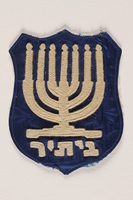 2002.217.2 front
Zionist youth movement badge

Click to enlarge