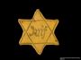 Star of David badge with Juif printed in the center