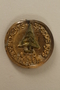 Christmas pin with evergreen issued for the Nazi winter charity drive