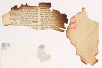2015.337.2 back
Burned fragments Talmudic commentary recovered during Kristallnacht by a Jewish Austrian girl

Click to enlarge