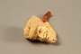 Meerschaum pipe with the bowl carved as a Jewish man's head, with case