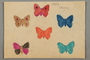 Drawing of butterflies created by a Jewish Austrian child