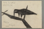 Drawing of a bird created by a Jewish Austrian child