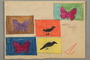 Drawing of birds and butterflies created by a Jewish Austrian child